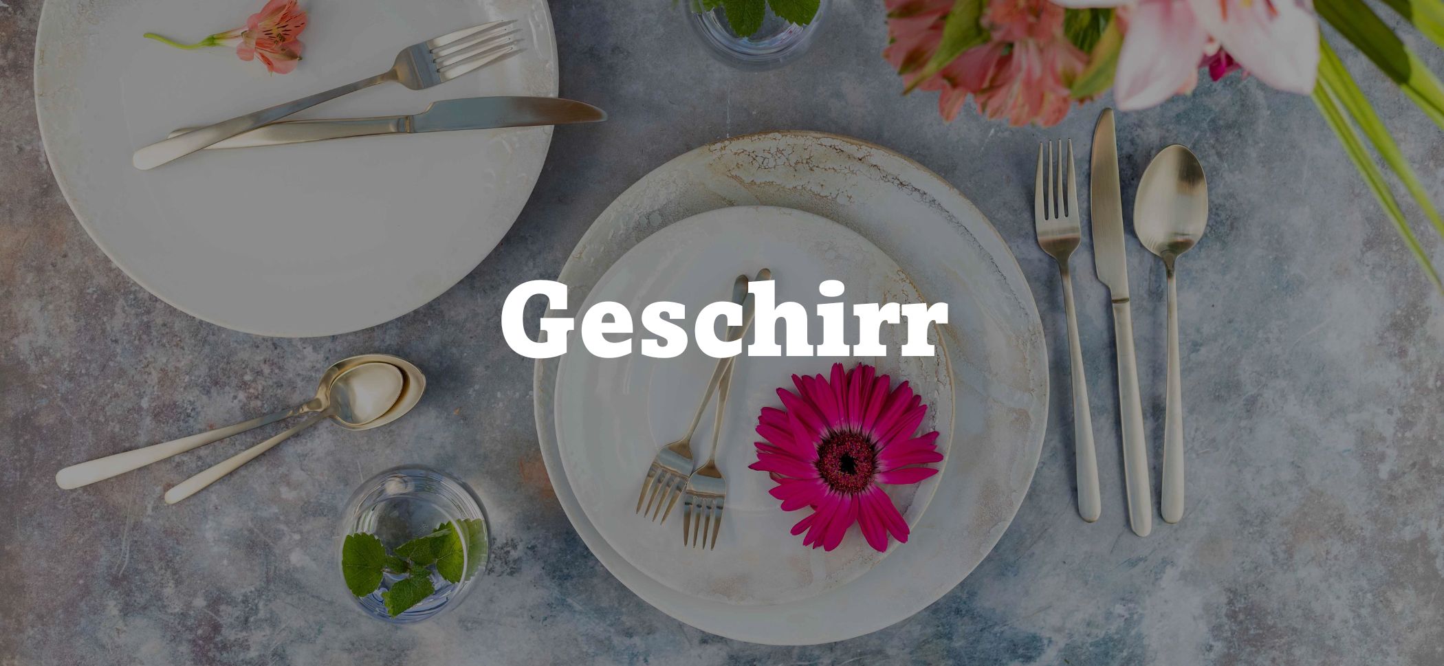 Geschirr kaufen Geschirr kaufen